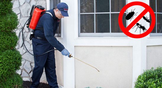 Seben Hamam Böceği İlaçlama böcek ilaçlama ve haşere kontrolü — ilaclama-tr.com